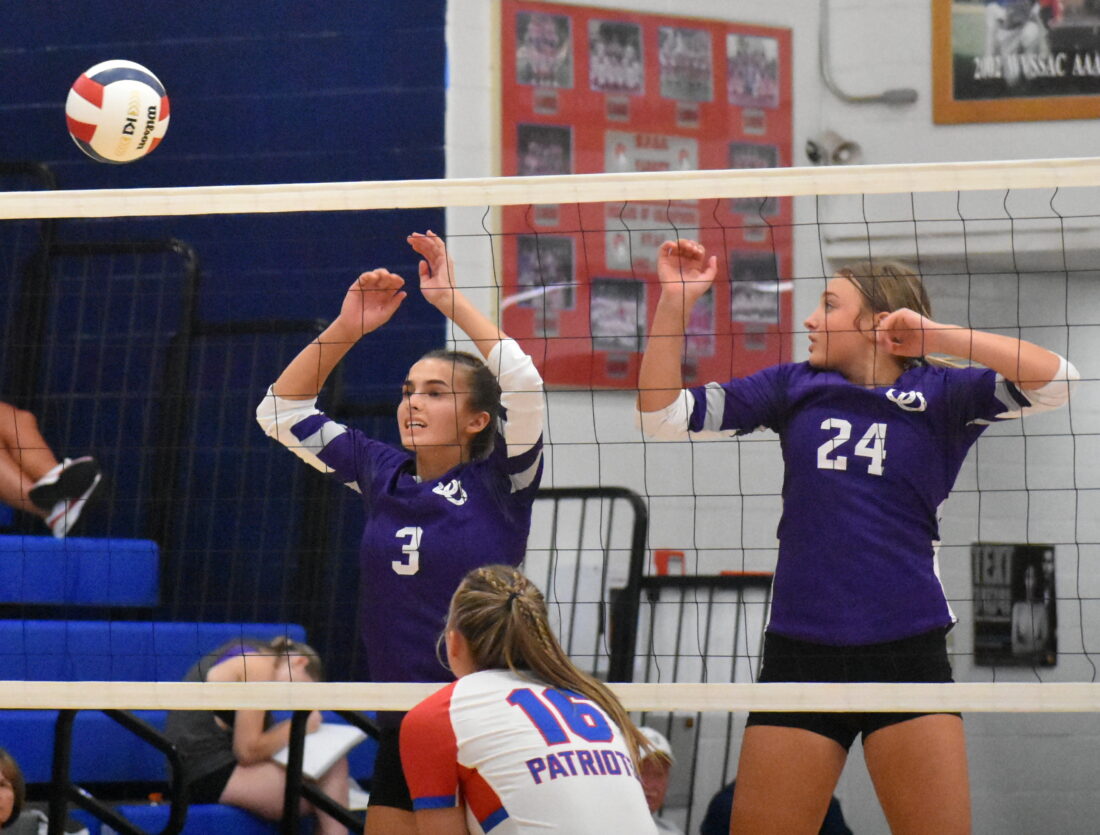 Martins Ferry falls in volleyball against Park News, Sports, Jobs